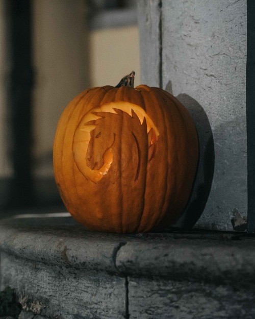 Čarobno jesensko rajanje za otroke v Kobilarni Lipica