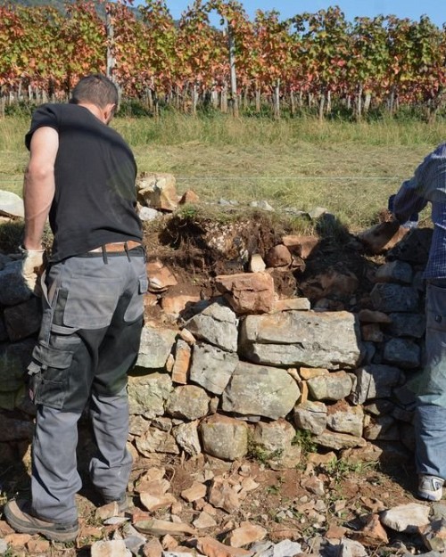 Akcija obnove suhih zidov