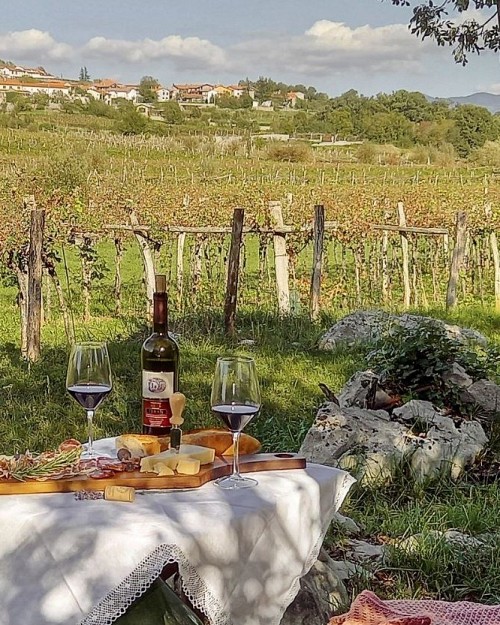 Brunch med vinogradi