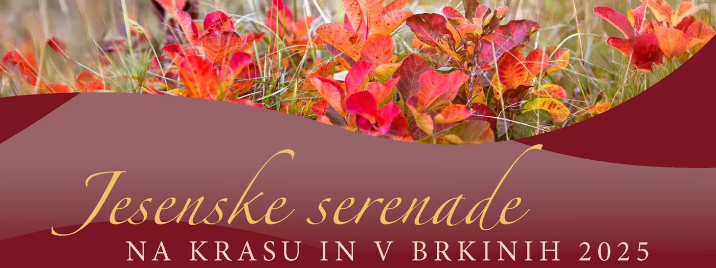 Jesenske serenade na Krasu in v Brkinih