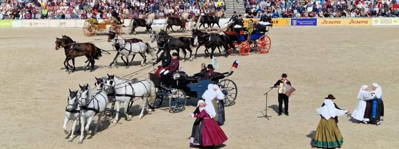 Slovenija in Kras v Marbachu navdušila z lipicanci