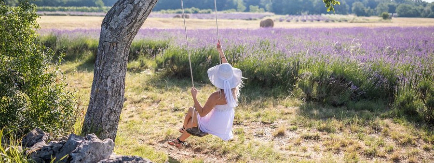 Venčki sv. Ivana in sivka s Krasa