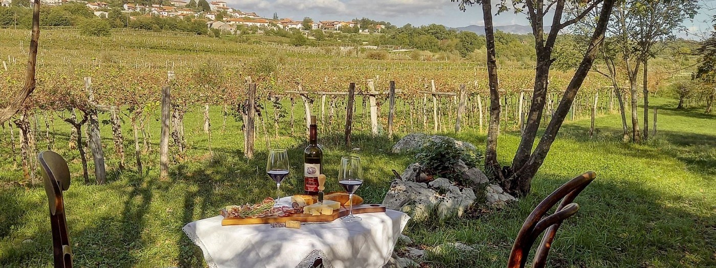 Brunch med vinogradi