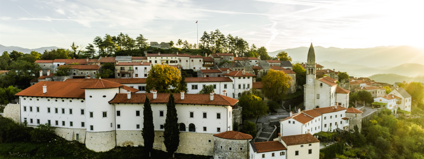Summer Guided Tours: From the Castle to the Ferrari Garden
