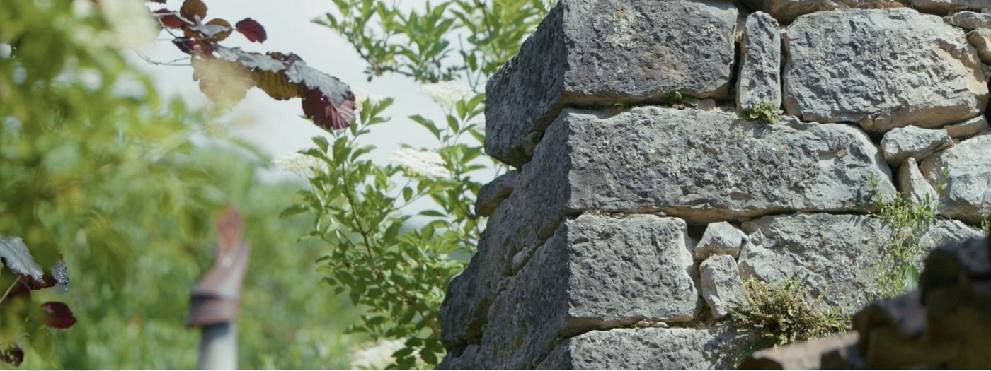 Dokumentarni film »Ne zabite se vrniti«