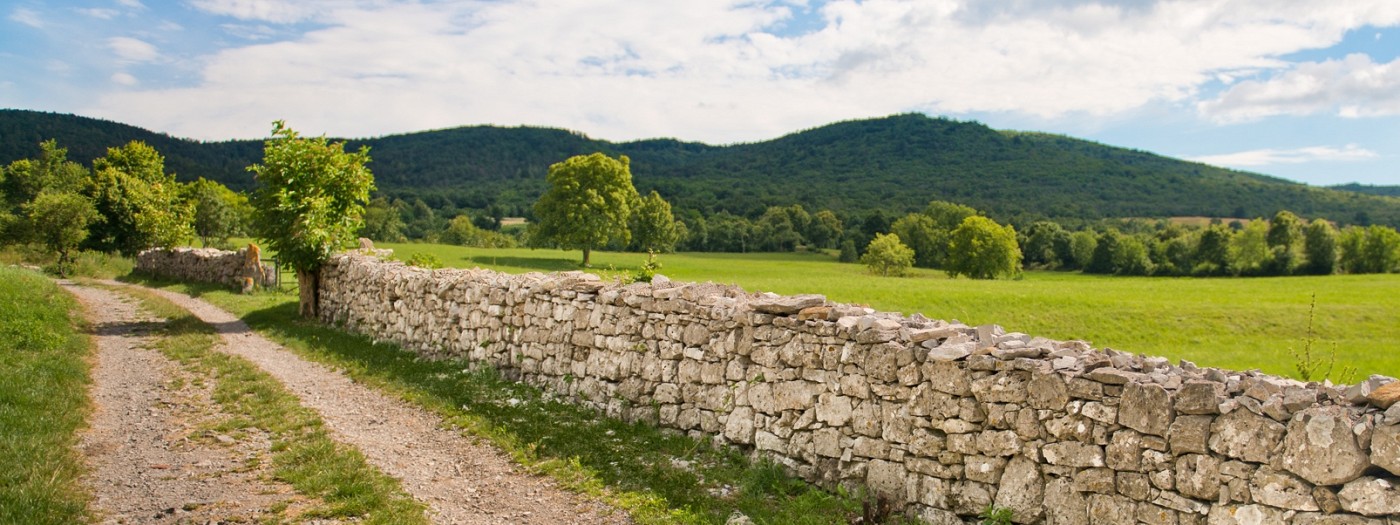 Odprtje Festivala Kraška gmajna