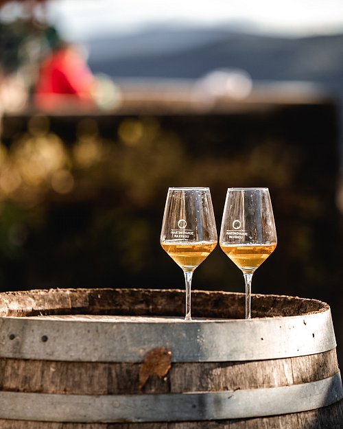 Praznik vina v Štanjelu