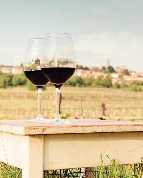 V osrčju dežele terana