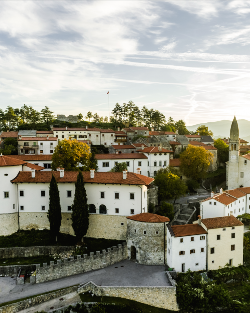 Summer Guided Tours: From the Castle to the Ferrari Garden
