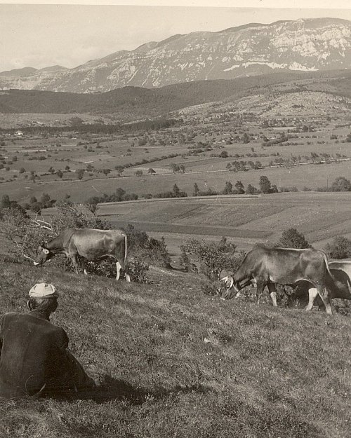 Pastirstvo nekoč – zgodbe iz otroštva in zvoki piščalk