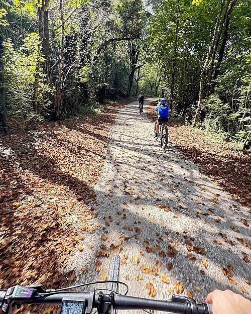Jesenski e-bike izlet po Krasu in Brkinih