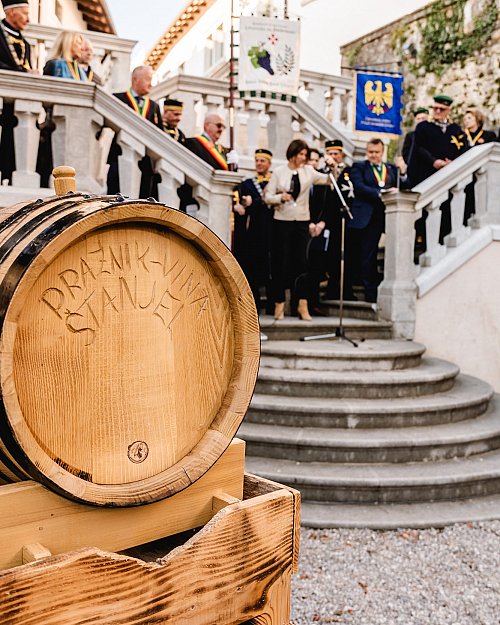 Praznik vina v Štanjelu