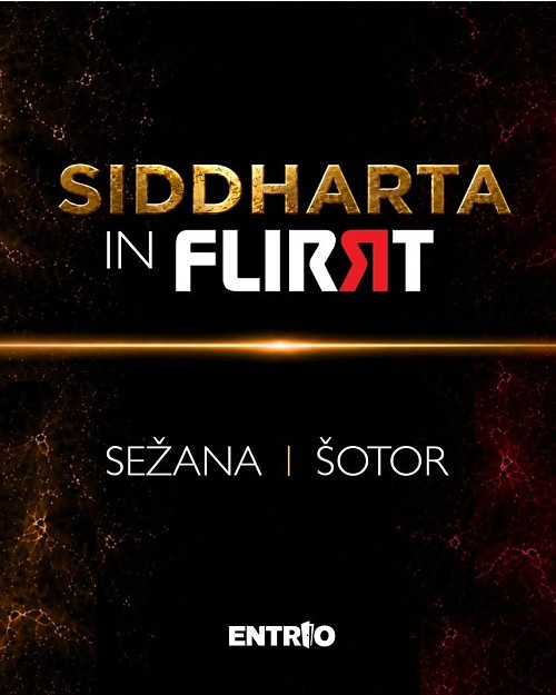 Koncert: Siddharta in Flirrt