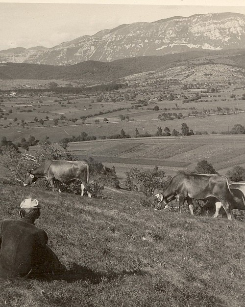 Pastirstvo nekoč – zgodbe iz otroštva in zvoki piščalk