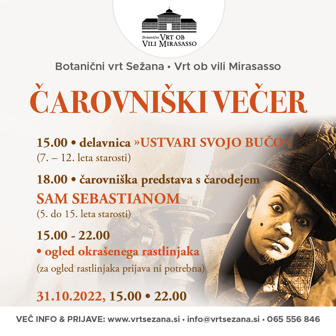Čarovniški večer z delavnico & čarodejem SAM SEBASTIANOM
