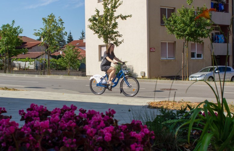 S Kras Brkini bikes po jesensko obarvanem Krasu