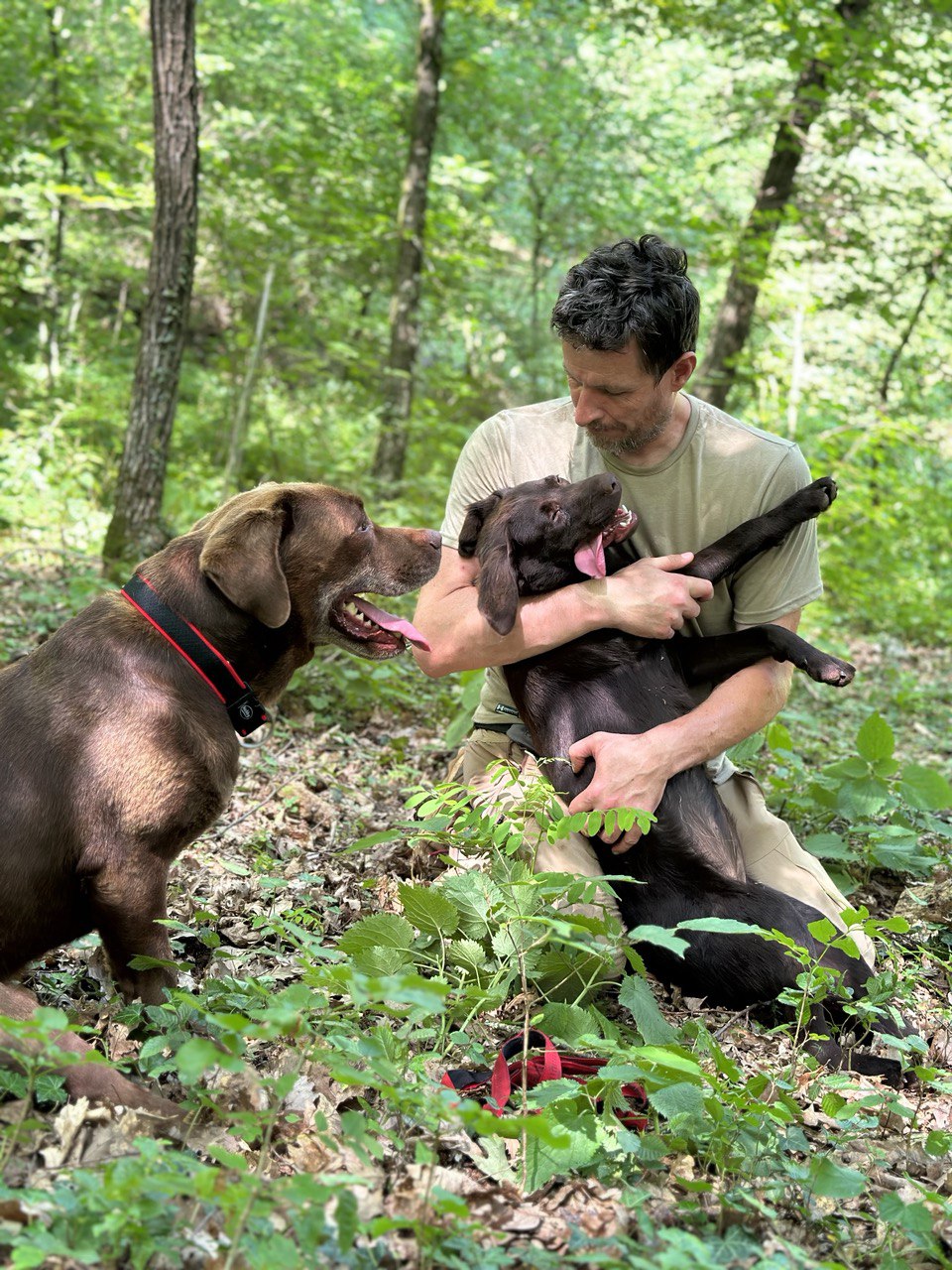 Truffle hunting and culinary experience