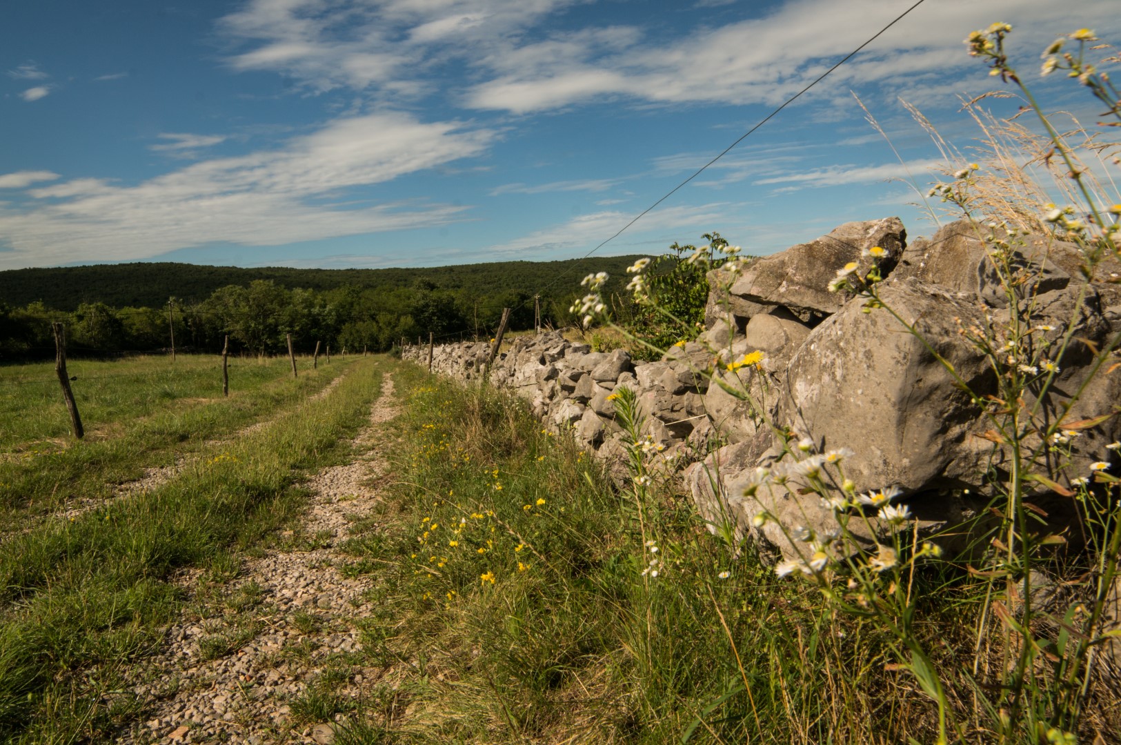 Sulle orme del Fronte d’Isonzo