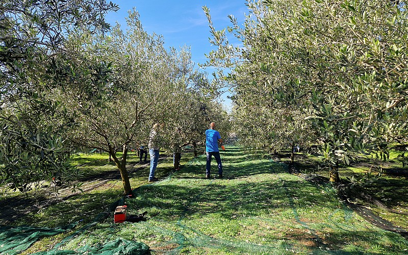 Izobraževalne delavnice za turistične ponudnike, kmetije in zainteresirano javnost