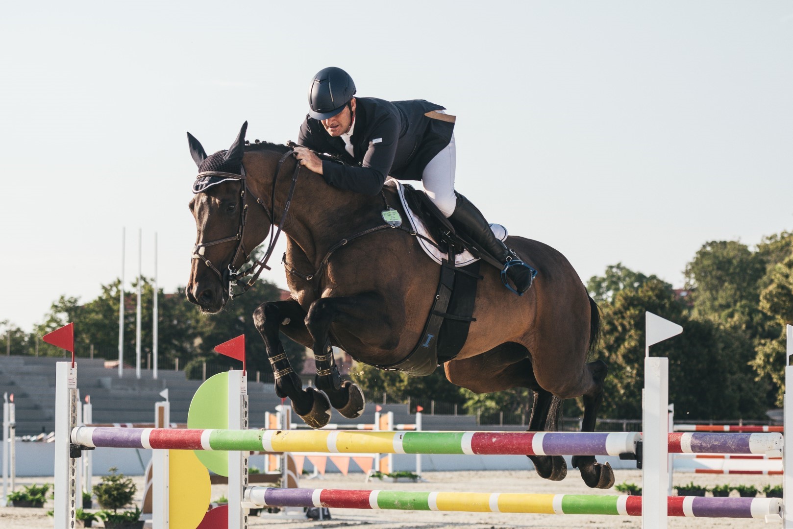 Show-jumping Competition