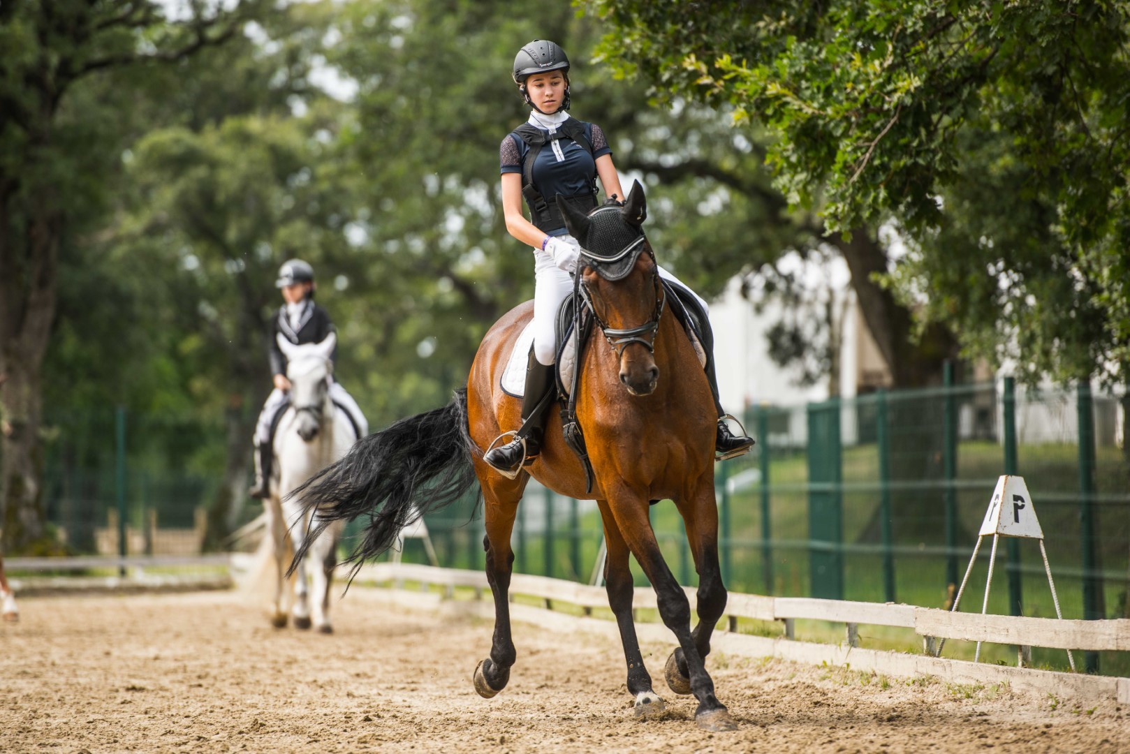 International Dressage Competition for the World Cup