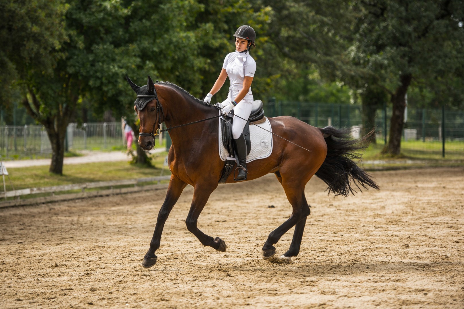 International Dressage Competition for the World Cup