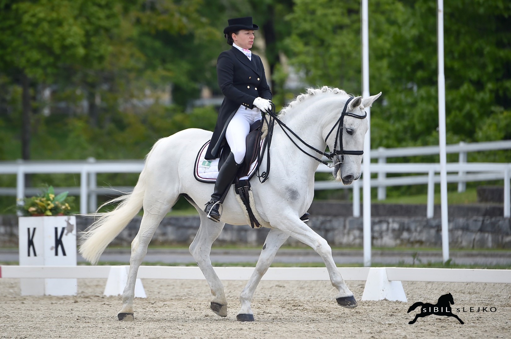 International Dressage Competition for the World Cup
