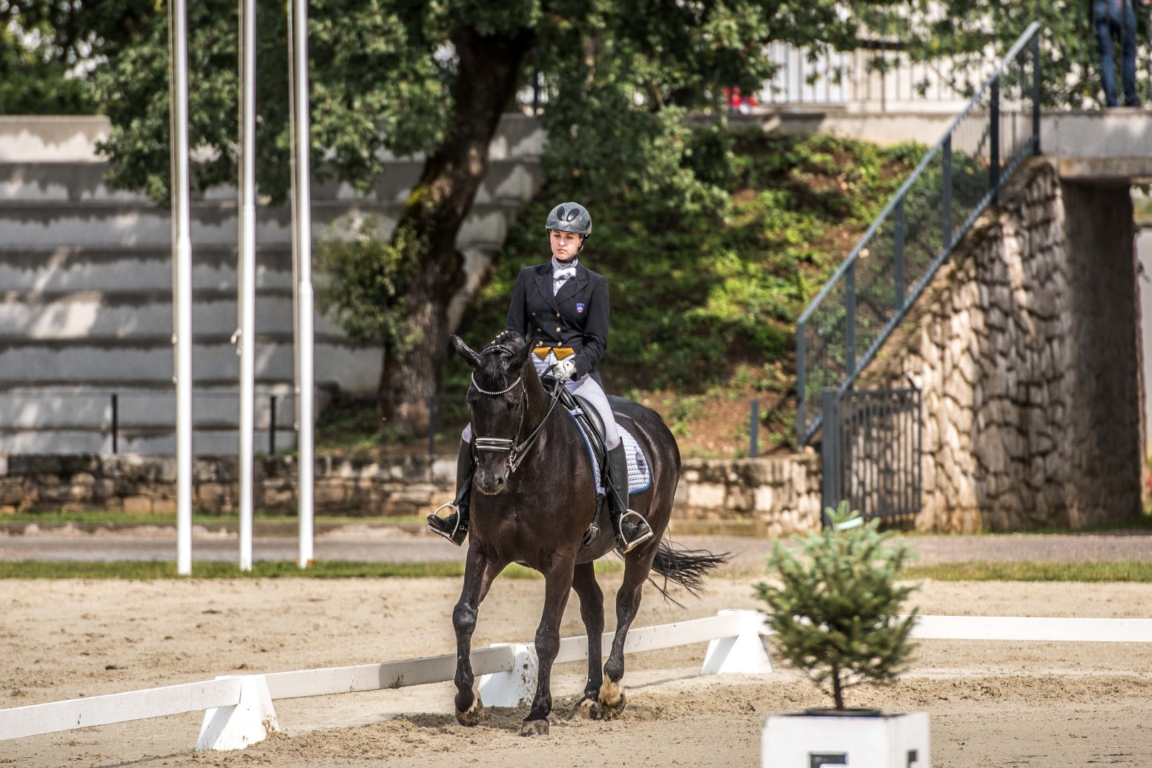 International Dressage Competition for the World Cup