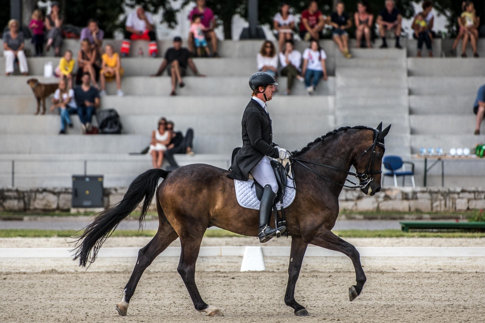 International Dressage Competition for the World Cup