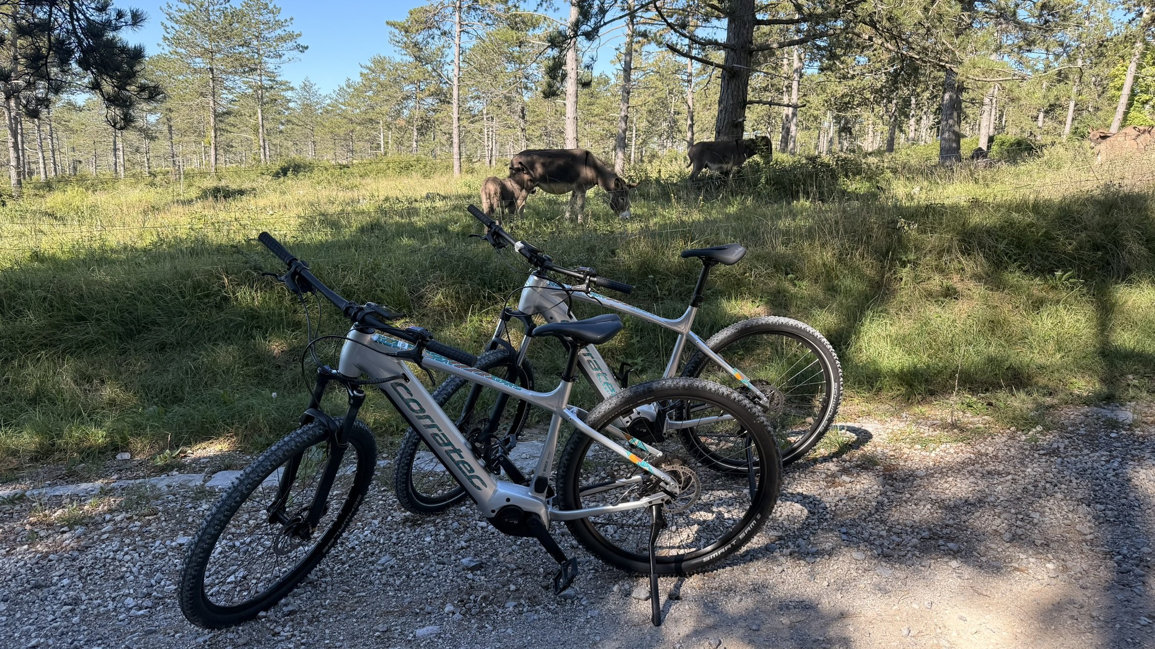 KOLOKRAS – rent-a-bike & servis koles