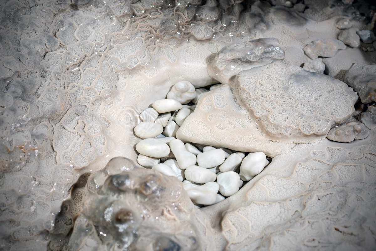 Höhle, Musik und Wein: die majestätische Höhle von Divača