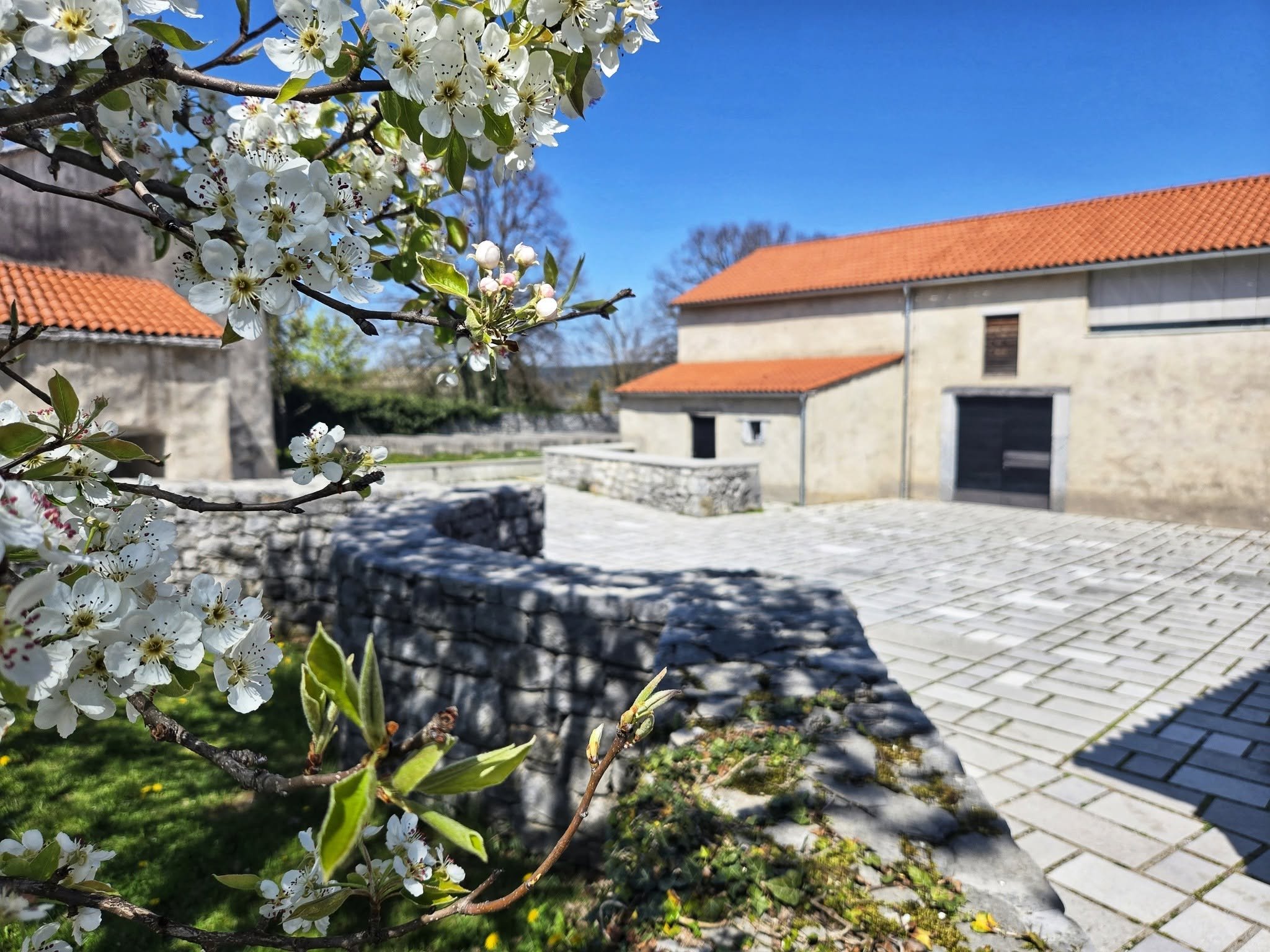 Poletna muzejska noč na Krasu in v Brkinih
