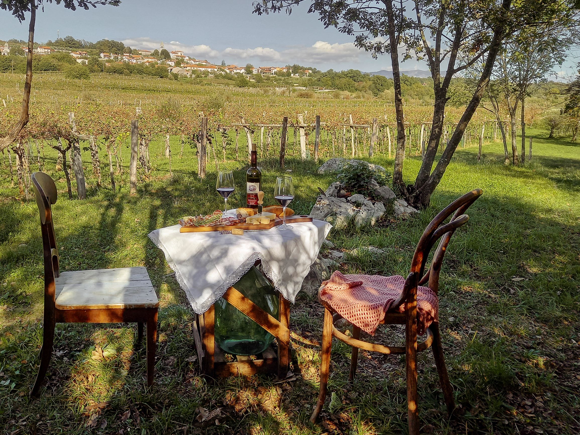 Petelin Rogelja Homestead – Wine tasting in a vineyard