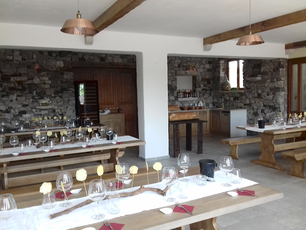 Wine cellar Pri Starčih - Tavčar – A wine tasting, visits to vineyards and a wine cellar