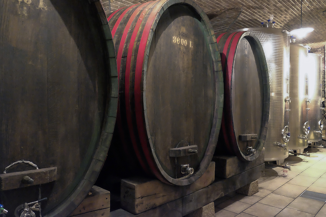 Weinverkostung, Besichtigung der Weingärten und des Weinkellers